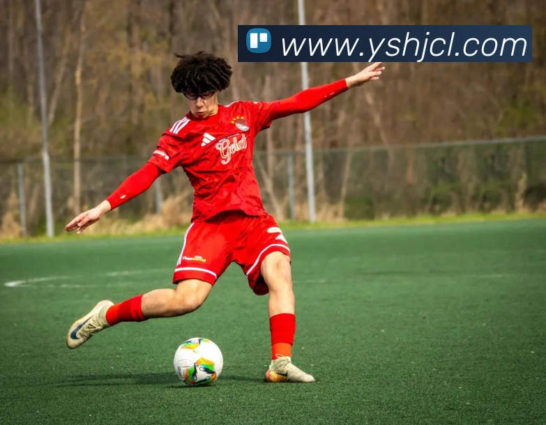 k1体育官网登录入口全站App